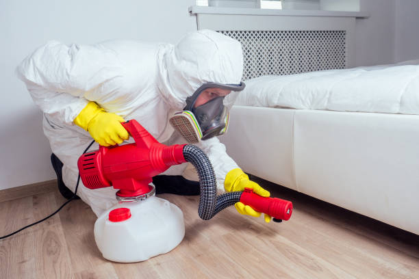  Clever, MO Pest Control Pros