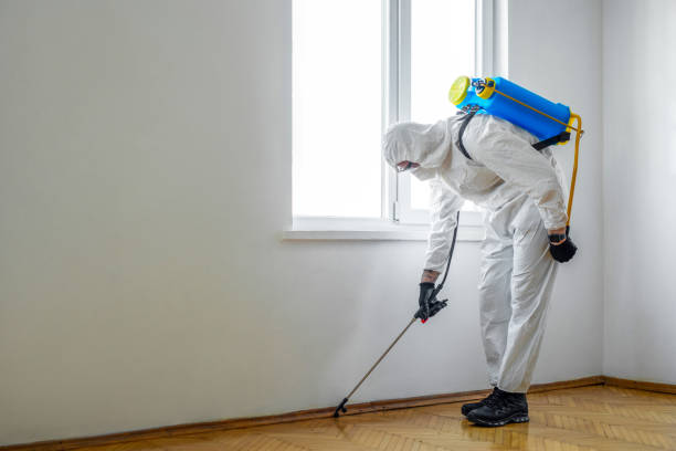 Best Exterminator Services  in Clever, MO