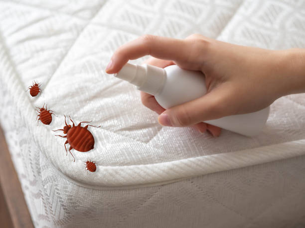 Best Best Pest Control Companies  in Clever, MO