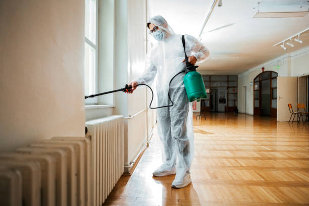 Best Affordable Pest Control Services  in Clever, MO